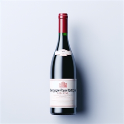 Bourgogne Bourgogne-passetoutgrain Emmanuel Rouget 2023