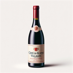 Bourgogne Côte de nuits villages Jeanpierre Bougaud 2011