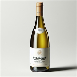 Bourgogne Puligny-montrachet Duc de Mangenta Les Houillères 2021