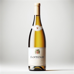 Bourgogne Santenay Fleurot Larose Clos du Passe Temps 2018