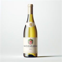 Bourgogne Savigny-lès-beaune Nicolas Potel Savigny les Beaune 2005