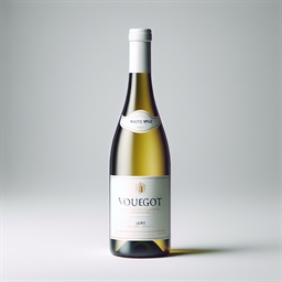 Bourgogne Vougeot Domaine La Vougeraie 1er Cru Clos Blanc 2022