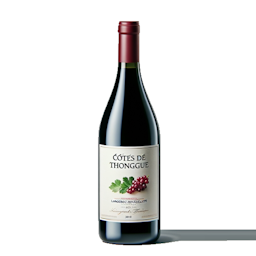 Languedoc et Roussillon Côtes de Thongue Domaine L'horte Jeu de Patience 2023